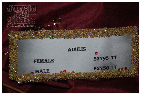 spice_media_launch_aug15-047