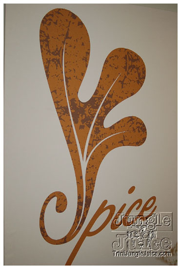 spice_media_launch_aug15-052