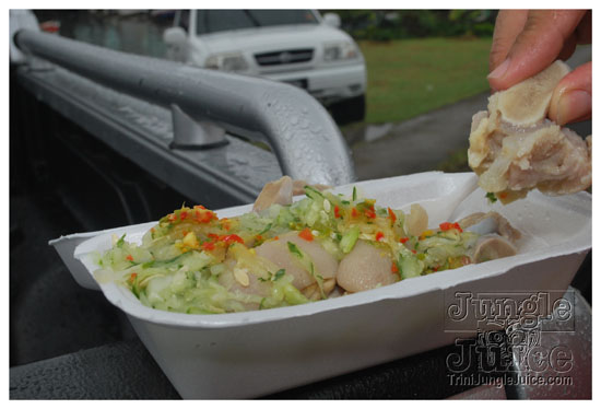 stlucia_carnival_mon_toxik_jul20-079