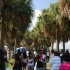 tampabay_carnival_2k9_day2_pt2-005