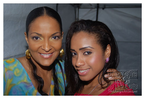 temperature_2009-017