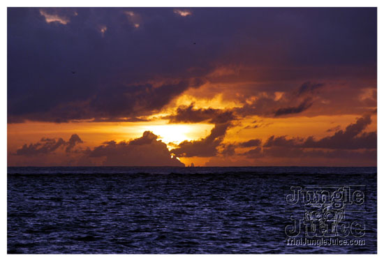 the_shade_weekend_2k9-111