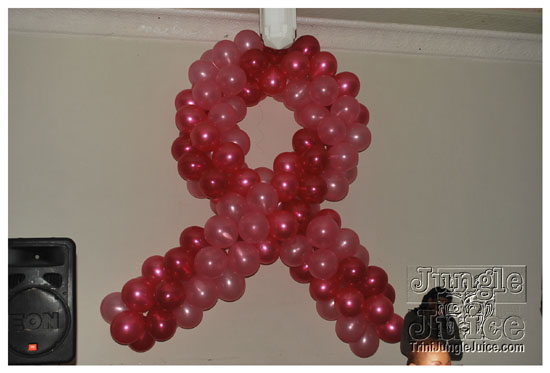 tickled_pink_oct24-052