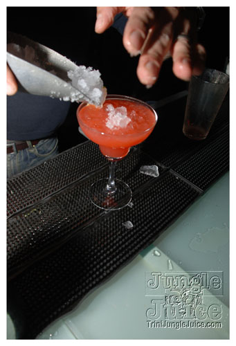 transdescence_preview_feb5-010