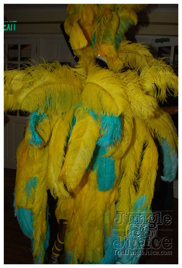 tribe_2010_launch_jul25_pt1-099