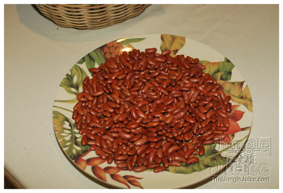 tribe_2010_launch_jul25_pt1-100