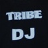 tribe_ice_jan3-077