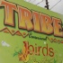 tribe_tue_2009_pt1-001
