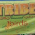 tribe_tue_2009_pt2-001