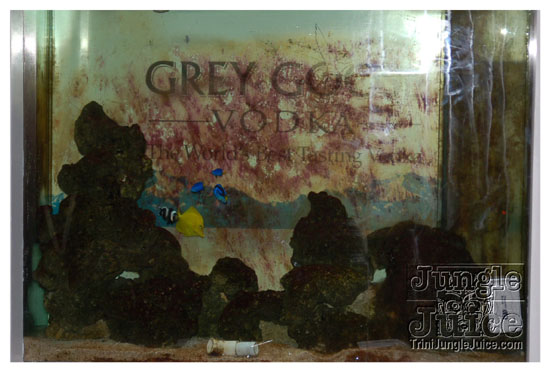 zandolee_media_launch_july11-003