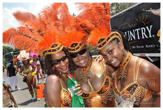 bacchanal_ja_roadmarch_2010_pt1-053