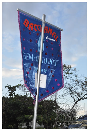 bacchanal_ja_roadmarch_2010_pt2-144