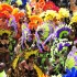 bacchanal_mas_2010-077