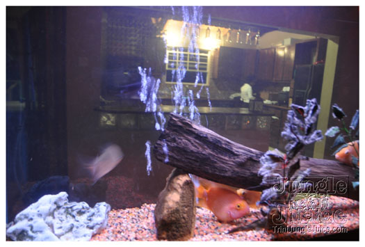 bathsheba_exp_jul30_2010-005