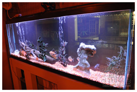 bathsheba_exp_jul30_2010-006