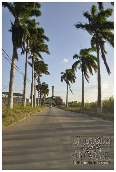 beach_house_carnival_2010_pt1-004