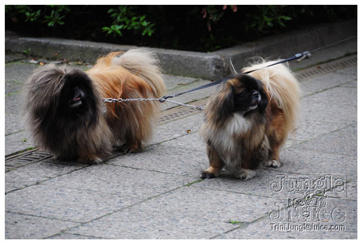 berlin_carnival_2010_extras-033