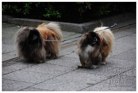 berlin_carnival_2010_extras-034