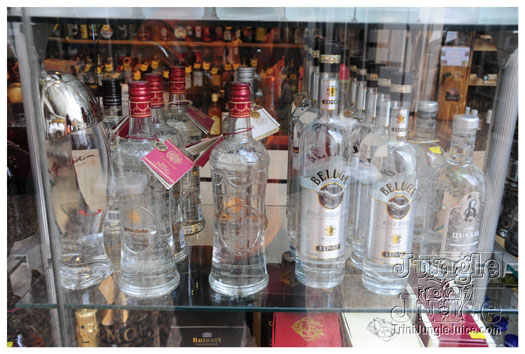 berlin_carnival_2010_extras-037