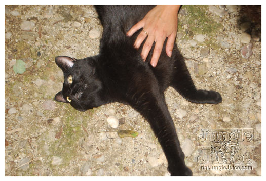 blue_vino_july24-091