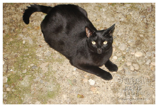 blue_vino_july24-095