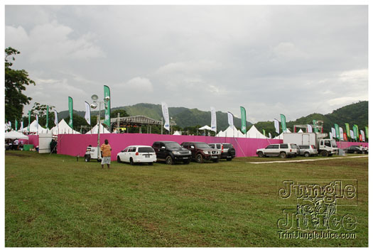 breast_cancer_music_fest_oct31-042