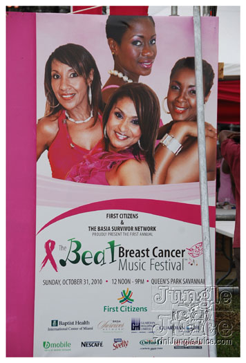 breast_cancer_music_fest_oct31-043