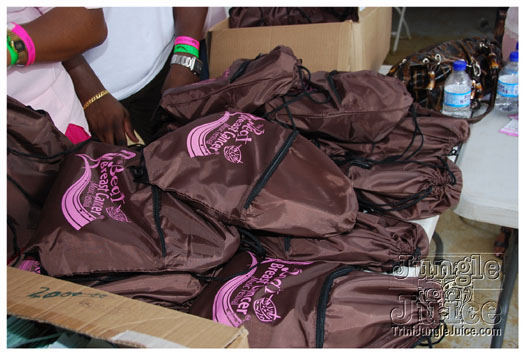 breast_cancer_music_fest_oct31-044