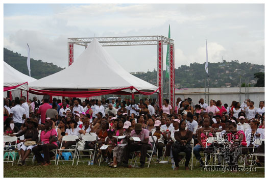 breast_cancer_music_fest_oct31-048