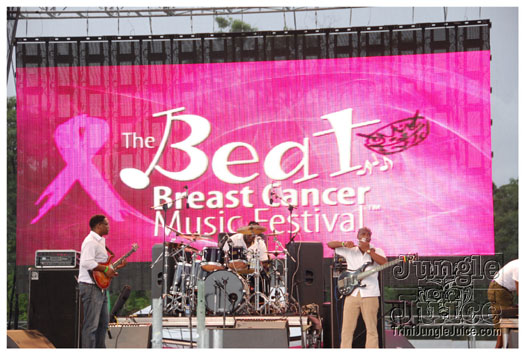 breast_cancer_music_fest_oct31-054