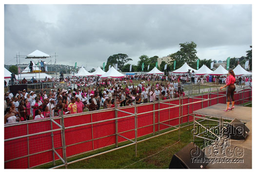 breast_cancer_music_fest_oct31-077