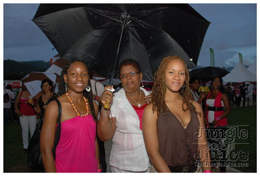 breast_cancer_music_fest_oct31-085