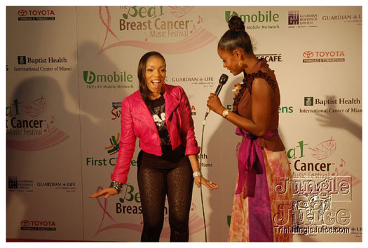 breast_cancer_music_fest_oct31-094