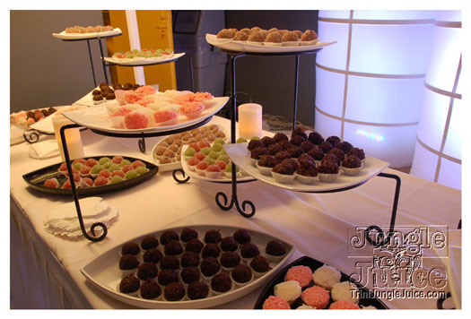 brian_mcfarlane_launch_2011-020