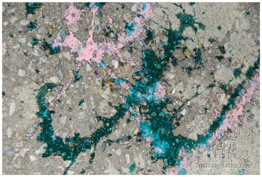 caesars_hippie_army_2010-027