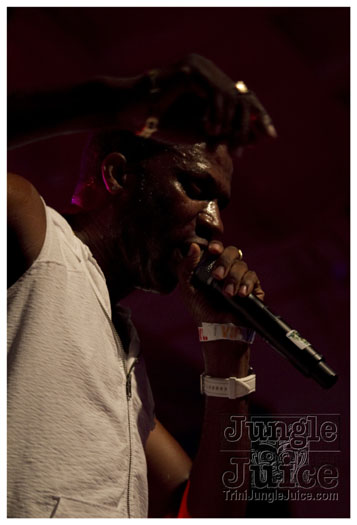 carnival_backyard_jul31-010