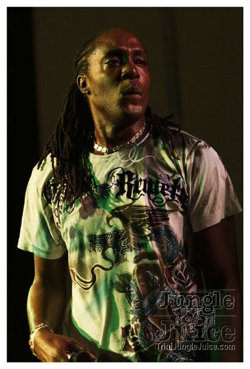 carnival_backyard_jul31-014