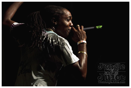 carnival_backyard_jul31-016