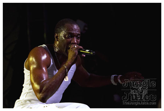 carnival_backyard_jul31-018