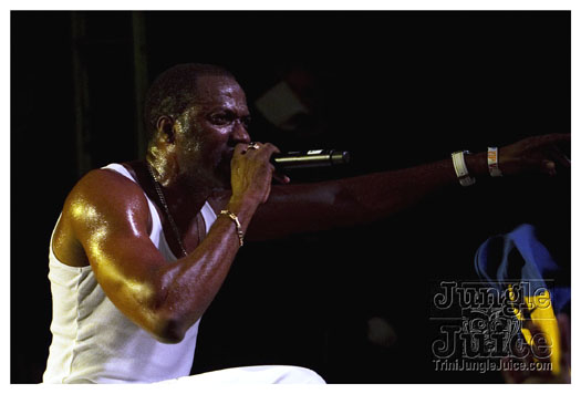 carnival_backyard_jul31-019