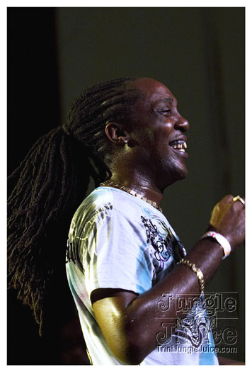 carnival_backyard_jul31-022