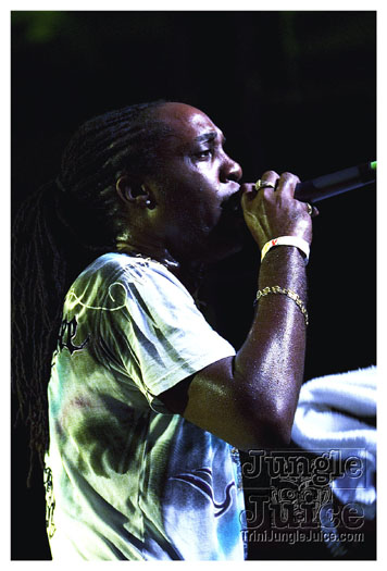 carnival_backyard_jul31-023