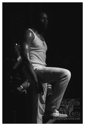 carnival_backyard_jul31-025