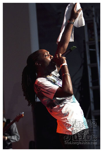 carnival_backyard_jul31-029