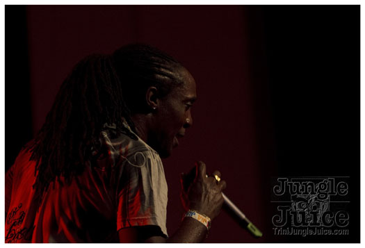 carnival_backyard_jul31-034