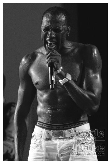 carnival_backyard_jul31-037