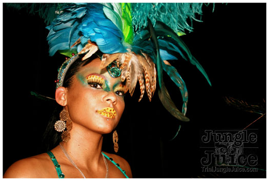 cnz_band_launch_2010-001