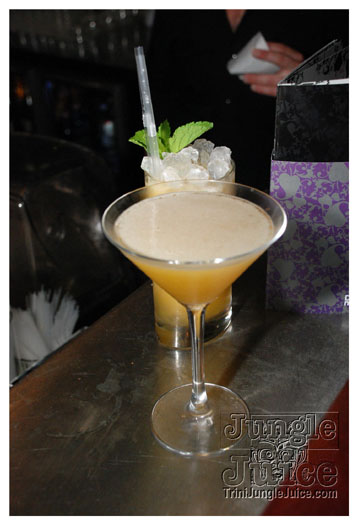 cocktails_uk_2010_aug15-017