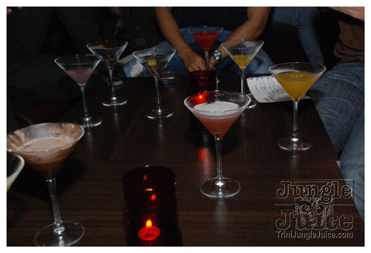 cocktails_uk_2010_aug15-030