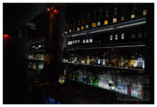 cocktails_uk_2010_aug15-039